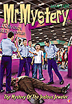 #17 MR MYSTERY #17