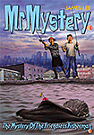 #18 MR MYSTERY #18